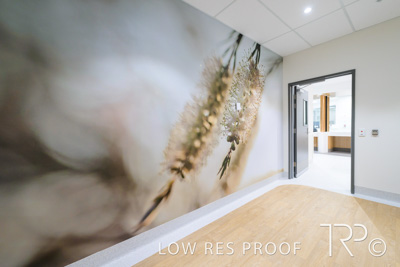 June 2022 / LYELL_McEWIN_HOSPITAL_220617_020