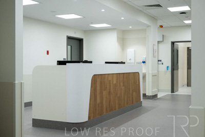 February 2023 / MS3-_230217_008