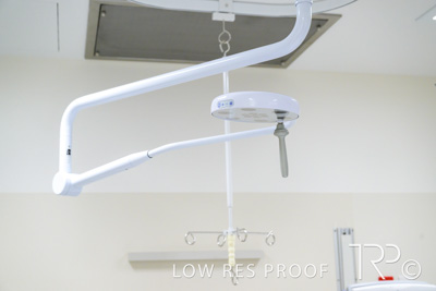 October 2023 / CHEESMAN-LMH-MH4-231027_Z9C9908