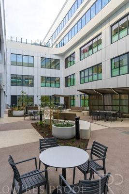 May 2024 / TQEH_Ground_floor_staff_only_green_space_240514_007