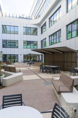 May 2024 / TQEH_Ground_floor_staff_only_green_space_240514_012