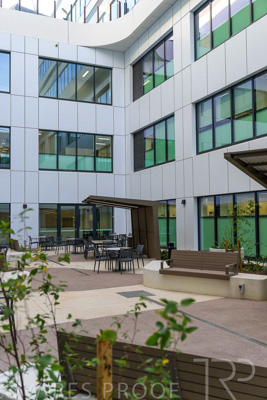 May 2024 / TQEH_Ground_floor_staff_only_green_space_240514_018