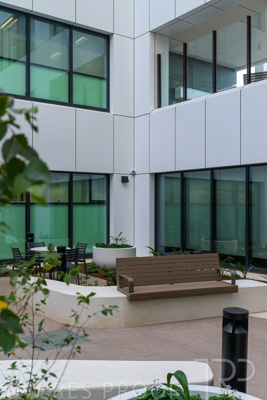 May 2024 / TQEH_Ground_floor_staff_only_green_space_240514_020