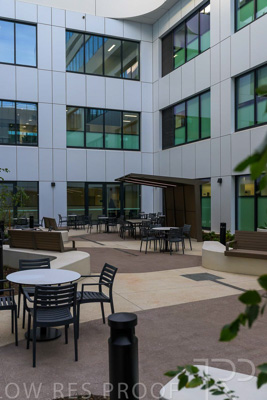 May 2024 / TQEH_Ground_floor_staff_only_green_space_240514_022