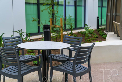 May 2024 / TQEH_Ground_floor_staff_only_green_space_240514_026