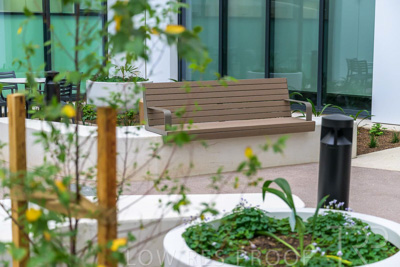 May 2024 / TQEH_Ground_floor_staff_only_green_space_240514_034