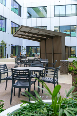 May 2024 / TQEH_Ground_floor_staff_only_green_space_240514_039