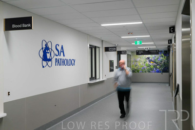 May 2024 / TQEH_Level_1_Staff_Lobby_with_SA_Pathology_Laboratory_240527_031