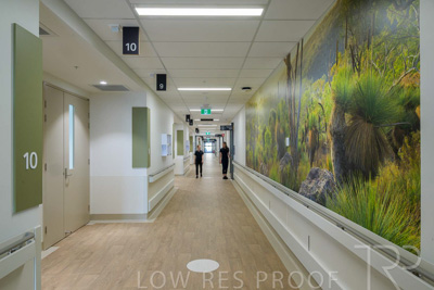 May 2024 / TQEH_Level_4_Corridor_Rehabilitation_240516_010