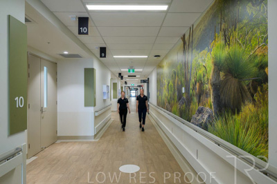 May 2024 / TQEH_Level_4_Corridor_Rehabilitation_240516_012