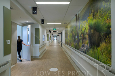 May 2024 / TQEH_Level_4_Corridor_Rehabilitation_240516_029