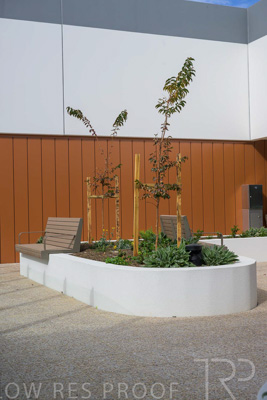 May 2024 / TQEH_Level_4_Rehabilitation_Green_Space_240516_153