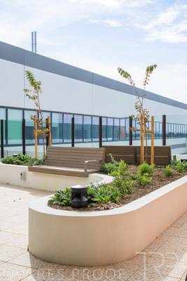 May 2024 / TQEH_Level_4_Rehabilitation_Green_Space_240516_157