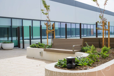 May 2024 / TQEH_Level_4_Rehabilitation_Green_Space_240516_159