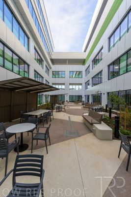 May 2024 / TQEH_Ground_floor_staff_only_green_space_240514_001