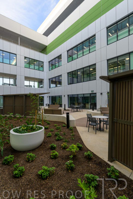 May 2024 / TQEH_Ground_floor_staff_only_green_space_240514_006