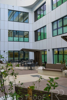 May 2024 / TQEH_Ground_floor_staff_only_green_space_240514_019