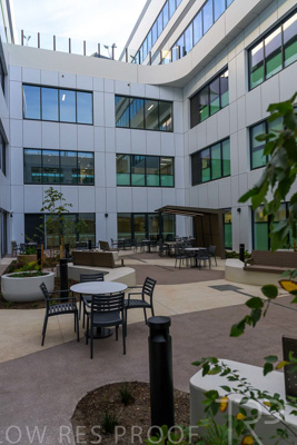 May 2024 / TQEH_Ground_floor_staff_only_green_space_240514_021