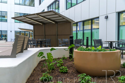 May 2024 / TQEH_Ground_floor_staff_only_green_space_240514_032