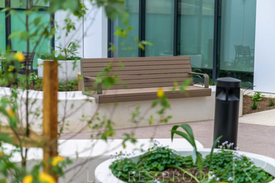 May 2024 / TQEH_Ground_floor_staff_only_green_space_240514_035