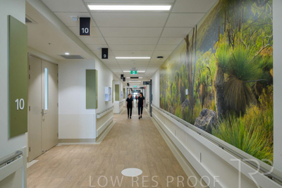 May 2024 / TQEH_Level_4_Corridor_Rehabilitation_240516_011