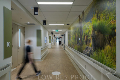 May 2024 / TQEH_Level_4_Corridor_Rehabilitation_240516_021