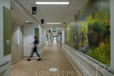 May 2024 / TQEH_Level_4_Corridor_Rehabilitation_240516_026