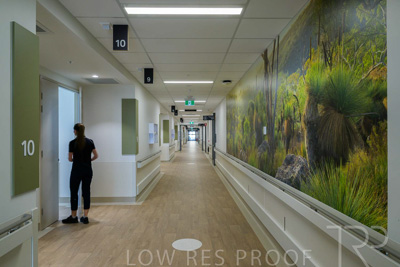 May 2024 / TQEH_Level_4_Corridor_Rehabilitation_240516_027