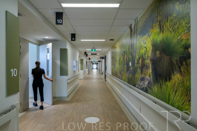 May 2024 / TQEH_Level_4_Corridor_Rehabilitation_240516_028