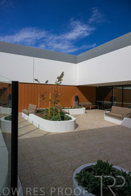 May 2024 / TQEH_Level_4_Rehabilitation_Green_Space_240516_148