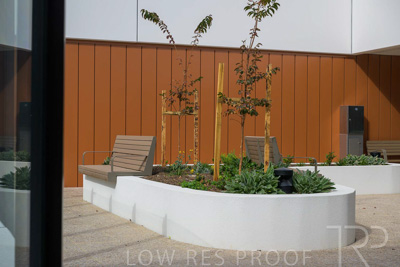 May 2024 / TQEH_Level_4_Rehabilitation_Green_Space_240516_154