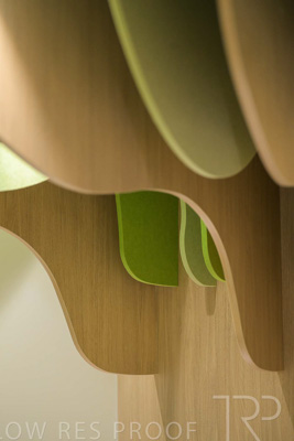 July 2024 / CPS-240731-_Z8C0024