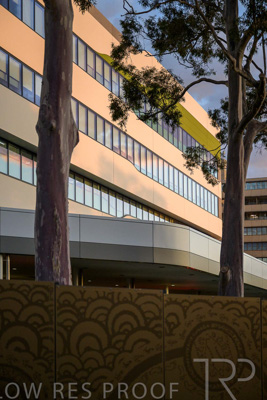 August 2024 / TQEH-EXT-240812-_Z9C1744