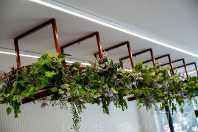 October 2024 / SPACES-241025-_Z9C5022