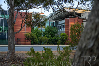 December 2024 / LMH-48Bed-Exteriors-241213-_Z9E1680