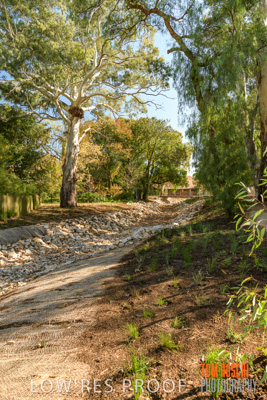 May 2019 / BROWNHILL_CREEK_857