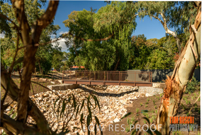 May 2019 / BROWNHILL_CREEK_883-HDR