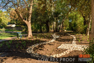May 2019 / BROWNHILL_CREEK_898-HDR