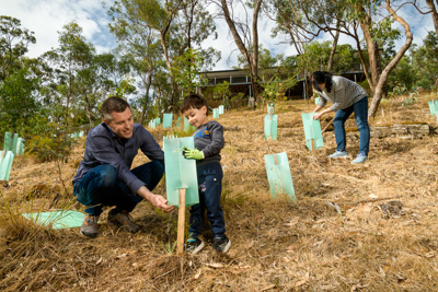 January 2020 / RALPH_200123_002