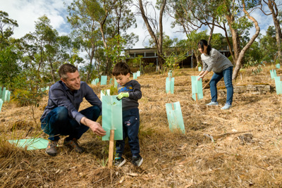 January 2020 / RALPH_200123_003