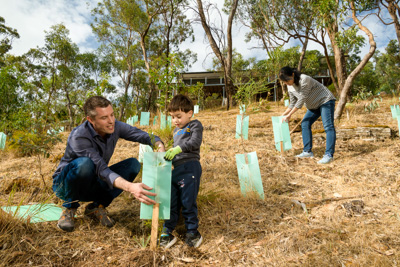 January 2020 / RALPH_200123_005