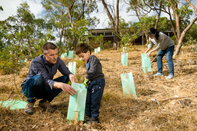 January 2020 / RALPH_200123_006