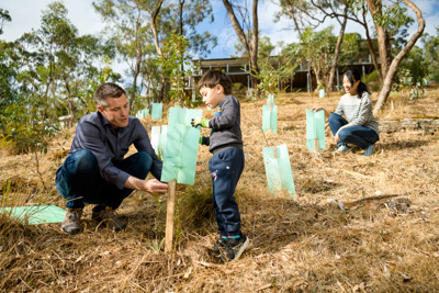 January 2020 / RALPH_200123_009