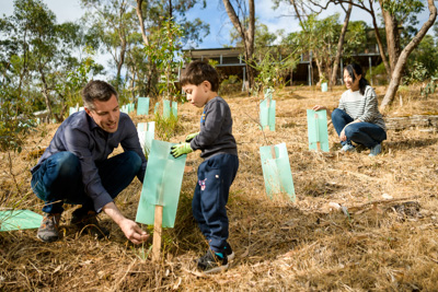 January 2020 / RALPH_200123_012