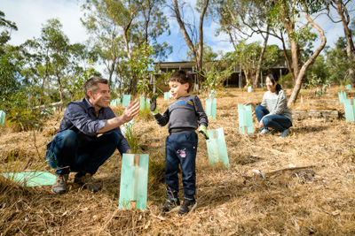 January 2020 / RALPH_200123_015