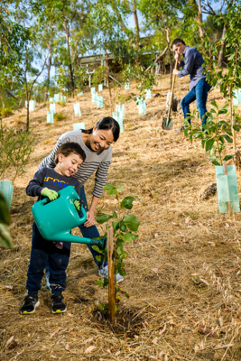 January 2020 / RALPH_200123_021