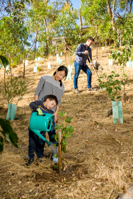 January 2020 / RALPH_200123_023