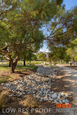 February 2020 / NORMAN_RESERVE_034