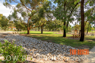 February 2020 / NORMAN_RESERVE_039