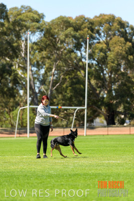 February 2020 / OWNER_WITH_DOG_006